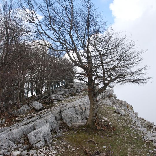 Monte Semprevisa