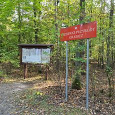 Rezerwat przyrody Grabicz