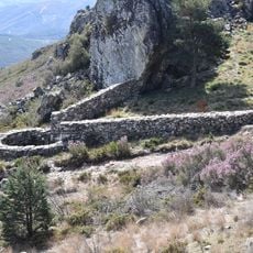 Foxo do lobo de Pedroso