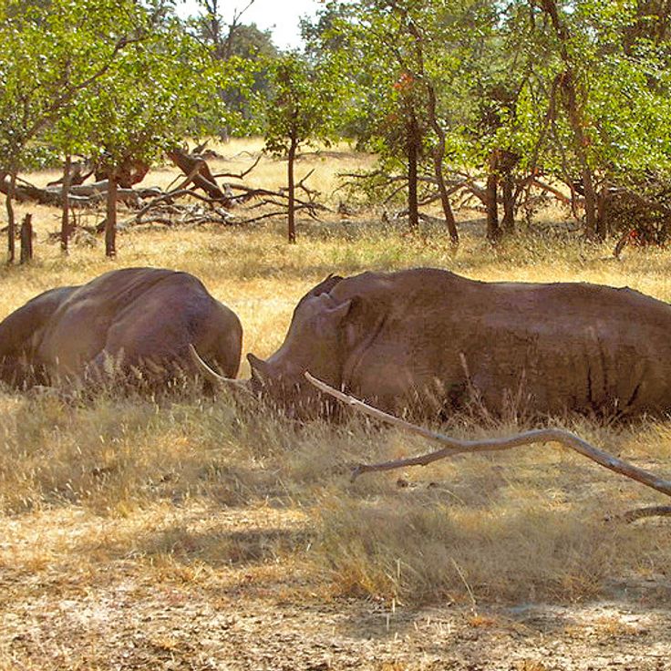 Parque Nacional Mosi-oa-Tunya