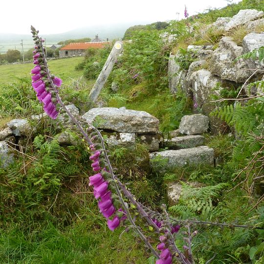 Stile At Sw 47453945