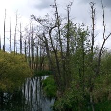 Tegeler Fließtal (BB)