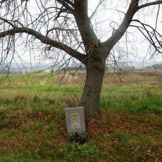 Pomník severozápadně od Přehýšova