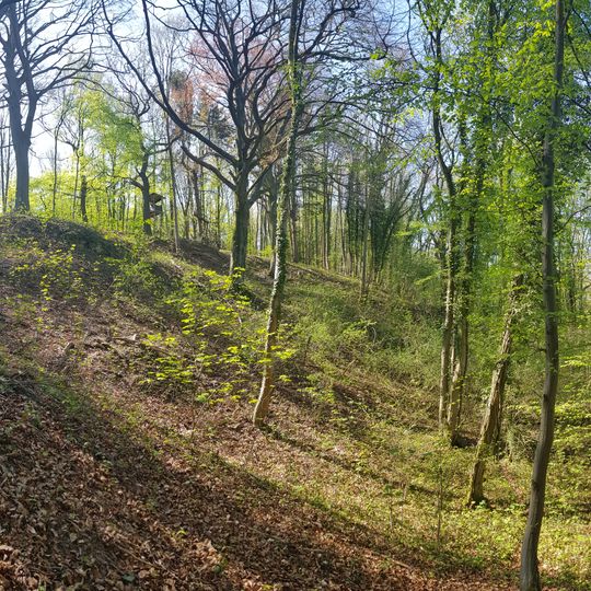 Groeve van de Scheve Spar II