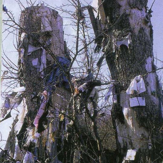 Clootie tree of Senarpont