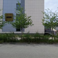 Les cinq âges de la vie