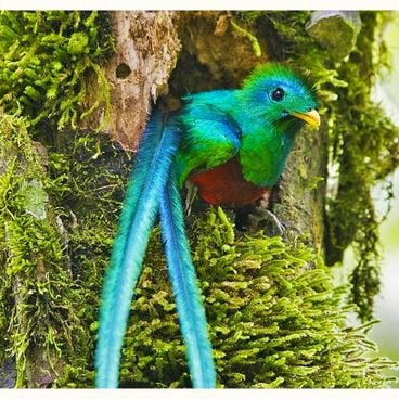 Photo spots in Guatemala