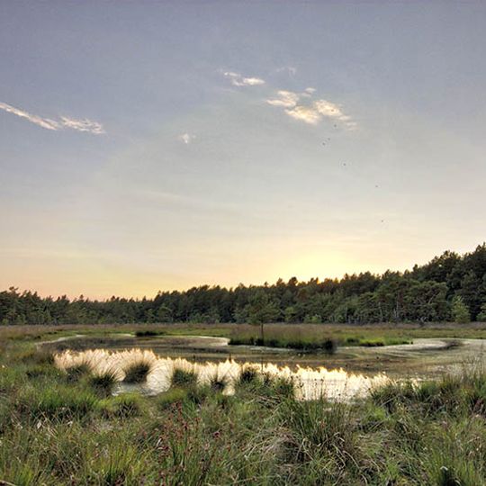 Springmoor, Heilsmoor