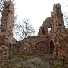 Burg Rauschenberg (Hessen)
