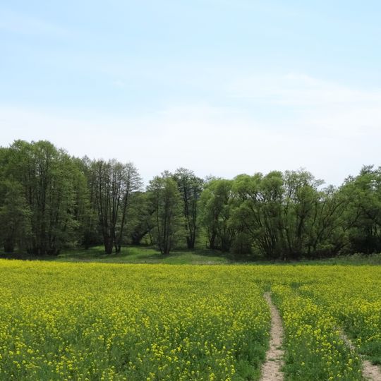 Ohetal bei Großropperhausen