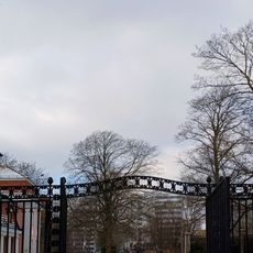 Gazellen