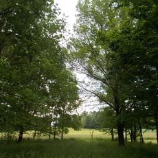 Baraggia di Bellinzago