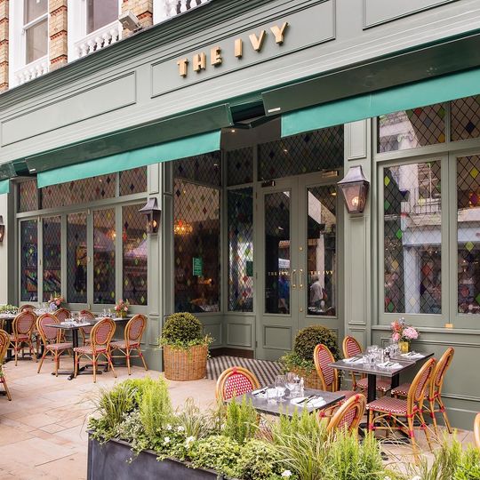 The Ivy