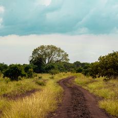Parque nacional de Saadani