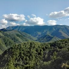 Réserve naturelle Sasso Fratino