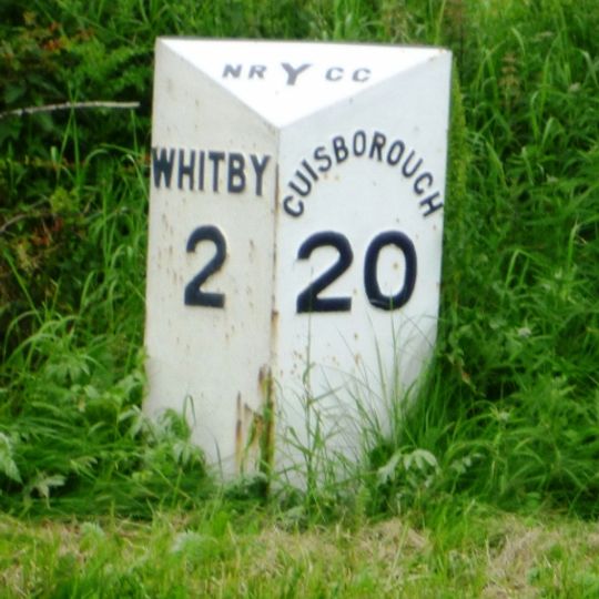 Milestone, Guisborough Road, just E of A169 TI