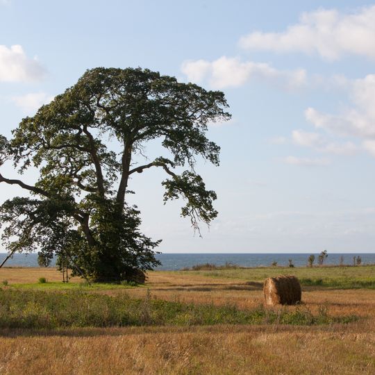 Strantes–Ulmales stāvkrasts