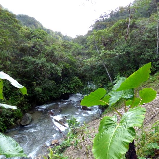 Tatamá National Natural Park