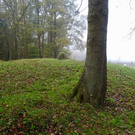 Terrein met grafheuvel