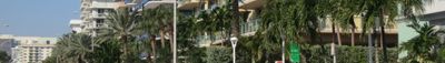 Panoramic View 1