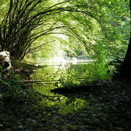 Riserva locale Laghetti Soi