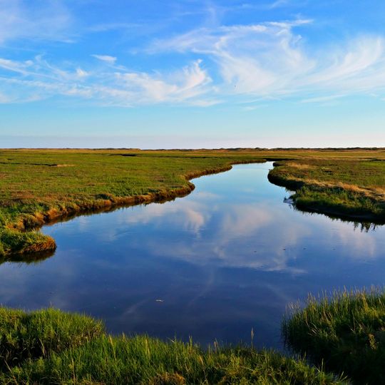 Wadden Sea and Hallig Islands of Schleswig-Holstein Biosphere Reserve