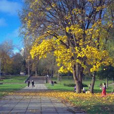 Central park, Chernihiv