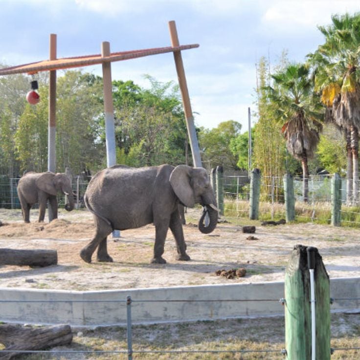 ZooTampa at Lowry Park