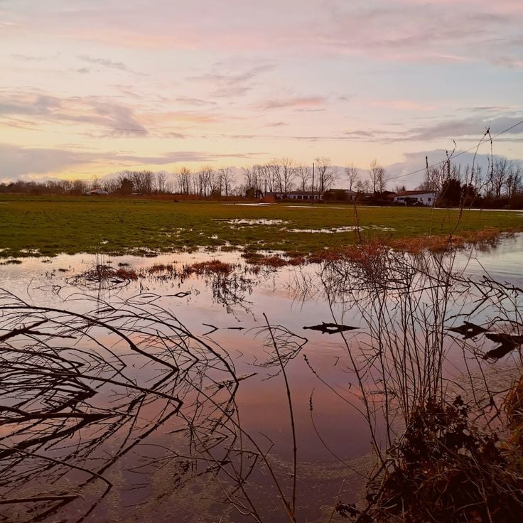 Breton Marsh