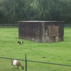 Kazemat GLZ11 (type P) op het Hoornwerk