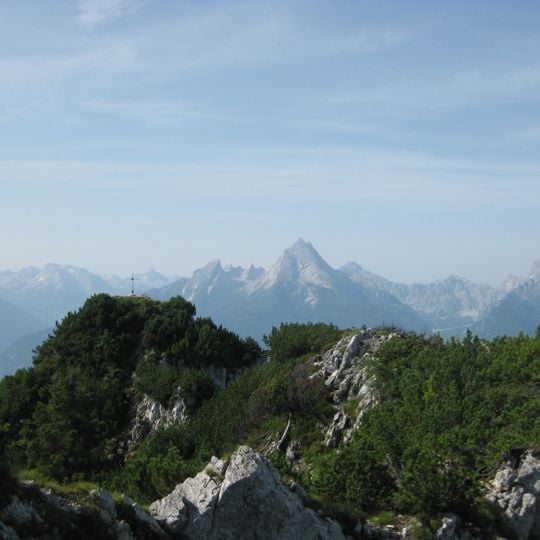 Großer Rauhenkopf
