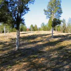 Musgrove Mill State Historic Site