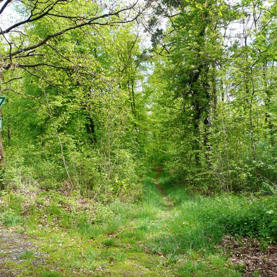 Hacksberg und Steckental