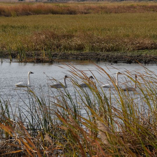 J. Clark Salyer National Wildlife Refuge