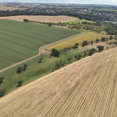 Streuobstwiese in Penig am Stadtgut 3