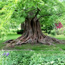 Bailey Arboretum