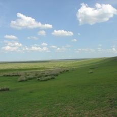 Mongolian-Manchurian grassland