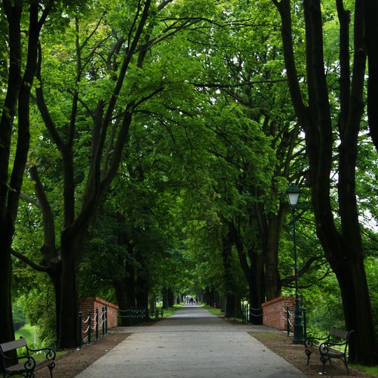 Jerzego Waszyngtona Alley in Kraków