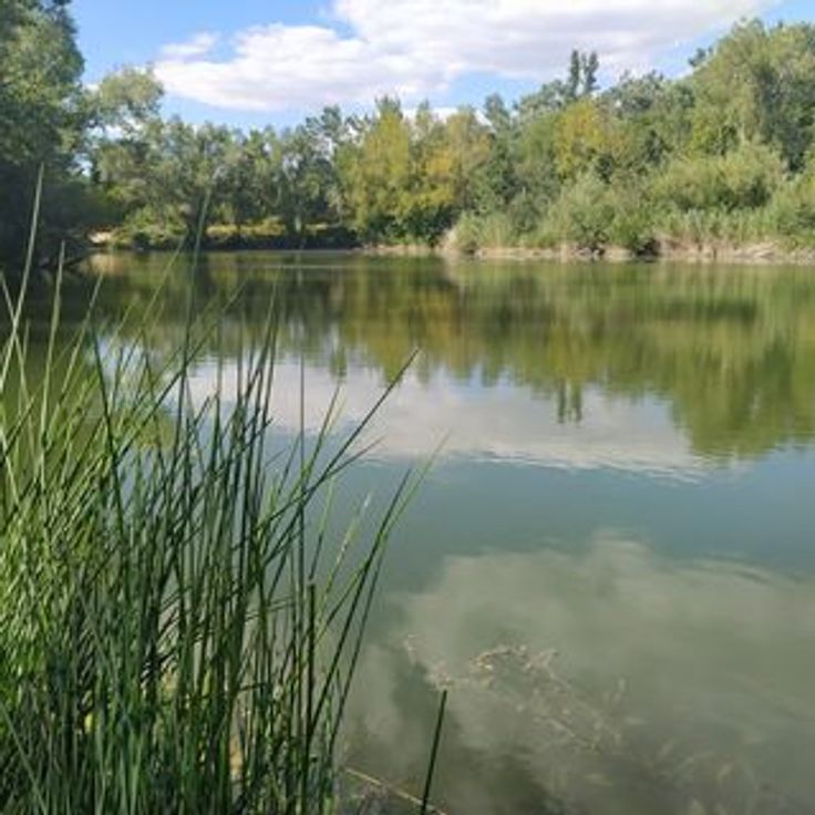 Bachassier Ponds