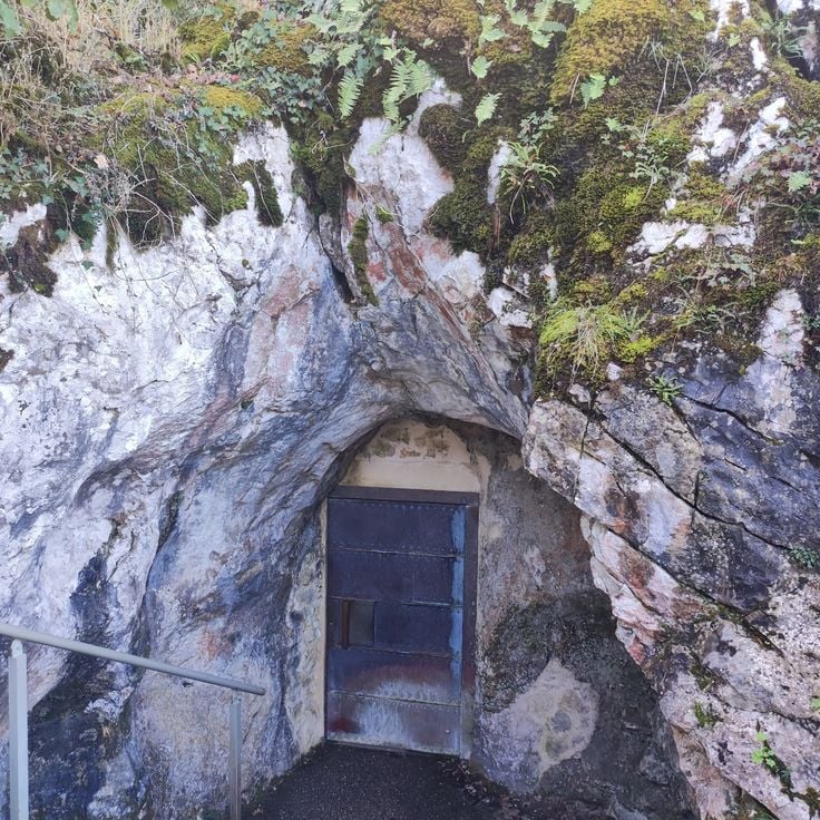 Cueva de Gargas