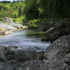 Pistynka River Reserve (Kolomyia Raion)