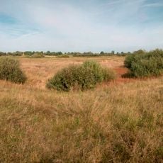 Hill fort in Zarichne