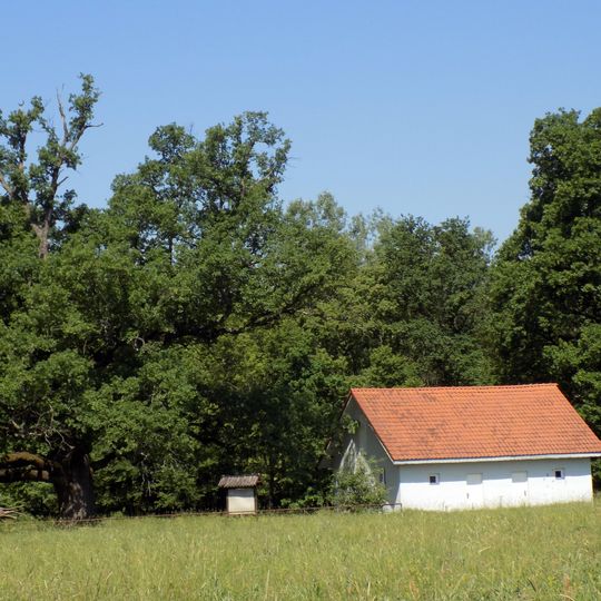 Споменик природе Три храста лужњака Баре