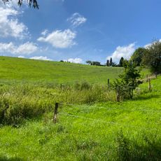 NSG Wickesberger Bachtal und Seitenbaeche