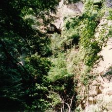 Domini Cave