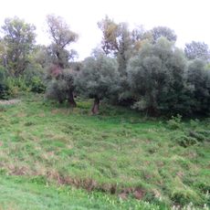Nature reserve Ruska Kępa