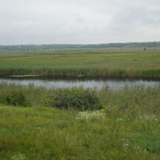 Velyka Vys Nature Reserve