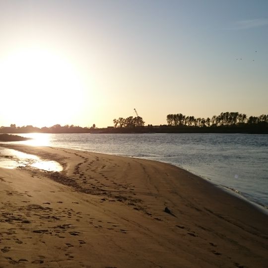 Elbe zwischen Geesthacht und Hamburg