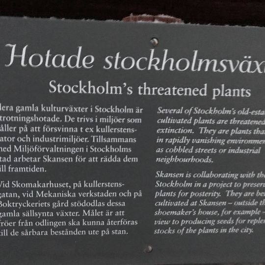 Hotade Stockholmsväxter, Skansen