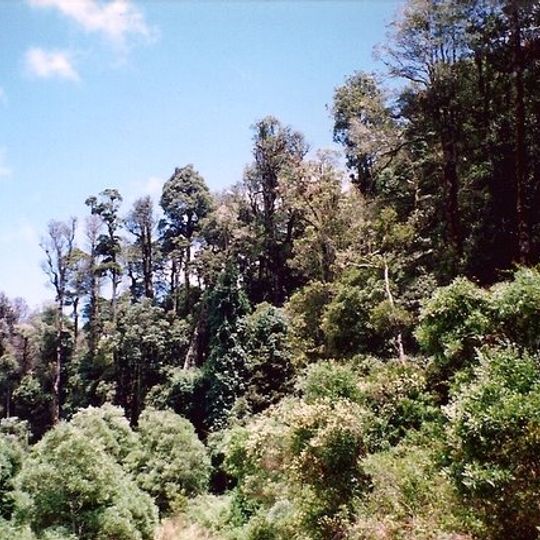 Mount Hyland Nature Reserve